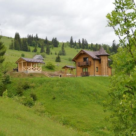 야블루니츠야 Пагорб Їжака / Hedgehog Hill 빌라 외부 사진