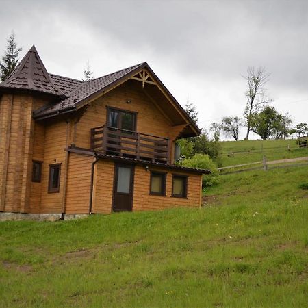 야블루니츠야 Пагорб Їжака / Hedgehog Hill 빌라 외부 사진