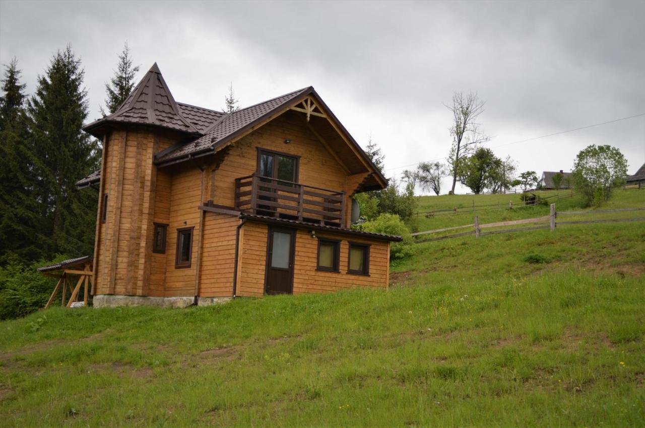 야블루니츠야 Пагорб Їжака / Hedgehog Hill 빌라 외부 사진