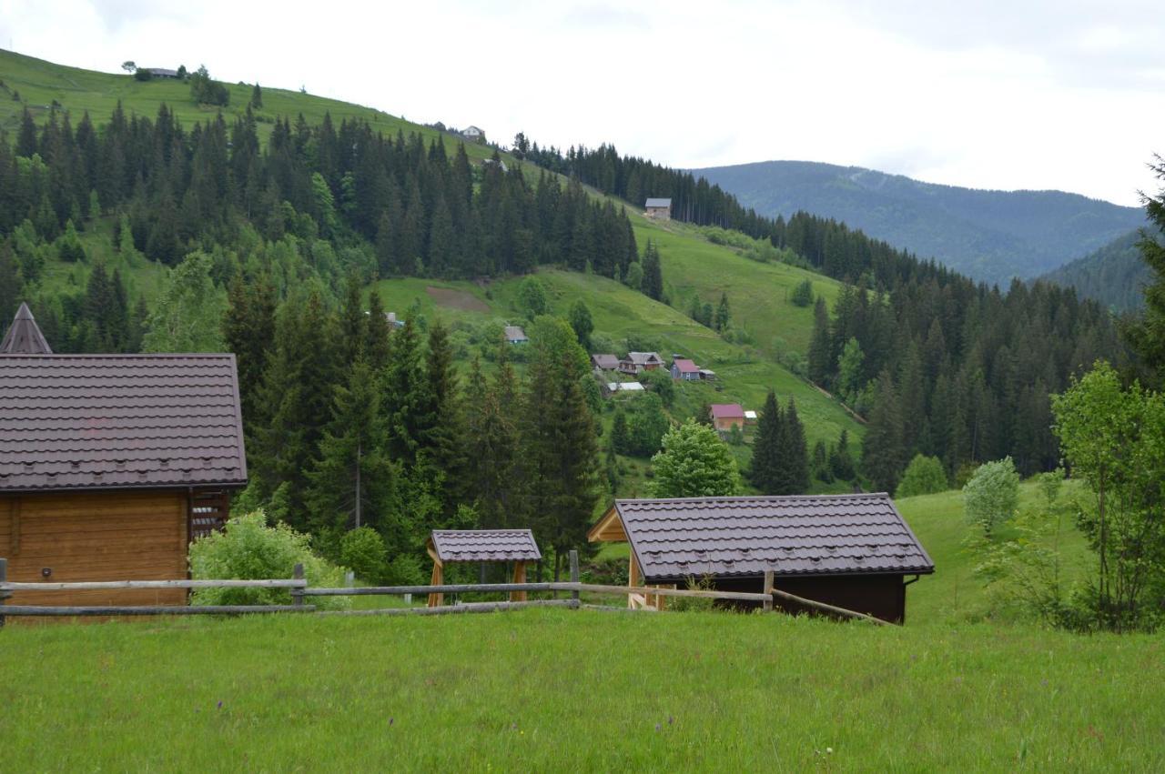 야블루니츠야 Пагорб Їжака / Hedgehog Hill 빌라 외부 사진